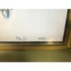 2007 Palomar Starlux 500 Lux V IPL Acne Handpiece Star Lux LuxV 7K Shots LOW