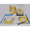 Iridex Iriderm DioLite 532 nm Diode Vascular Pigment Lesion Laser w Handpieces