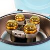 2017 Hettich Arthrex ACP Autologous Conditioned Plasma Blood Centrifuge 1206-17
