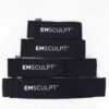 2020 BTL EmSculpt Body Sculpting With Emsella Electromagnetic Incontinence System