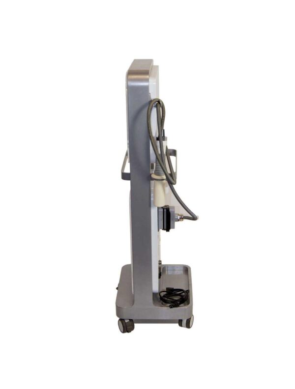 Vivace Fractional Micro Needle RF Facial Skin Tightening System Sung Hwan E&B