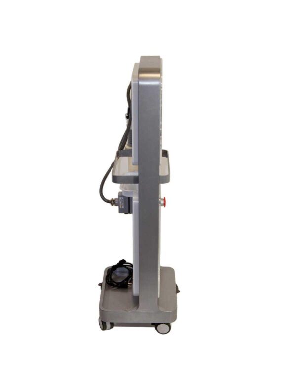Vivace Fractional Micro Needle RF Facial Skin Tightening System Sung Hwan E&B