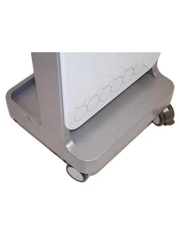 Vivace Fractional Micro Needle RF Facial Skin Tightening System Sung Hwan E&B